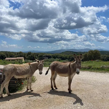 Διαμέρισμα Azienda Agricola Panorama Massa Marittima