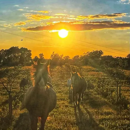 Azienda Agricola Panorama Διαμέρισμα *