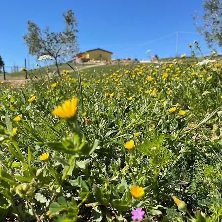 Daire Azienda Agricola Panorama Massa Marittima